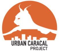 urban-caracal-project-logo